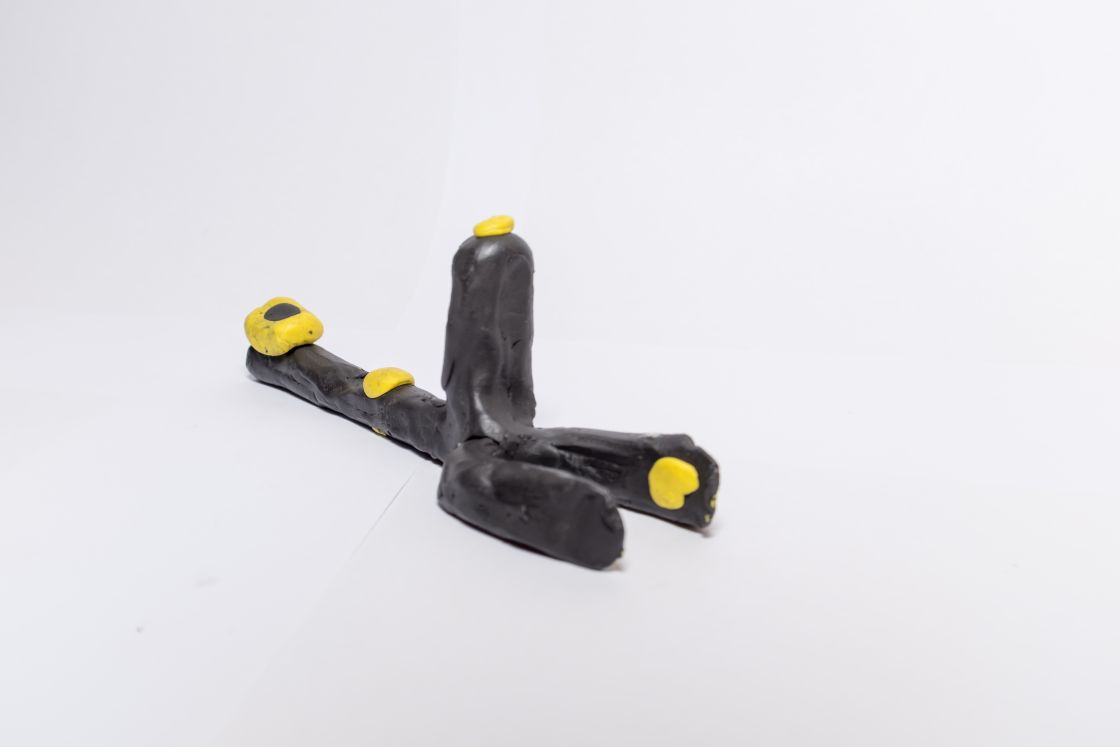  – Quelle: EPASC, Martigny, le 12 November 2020 